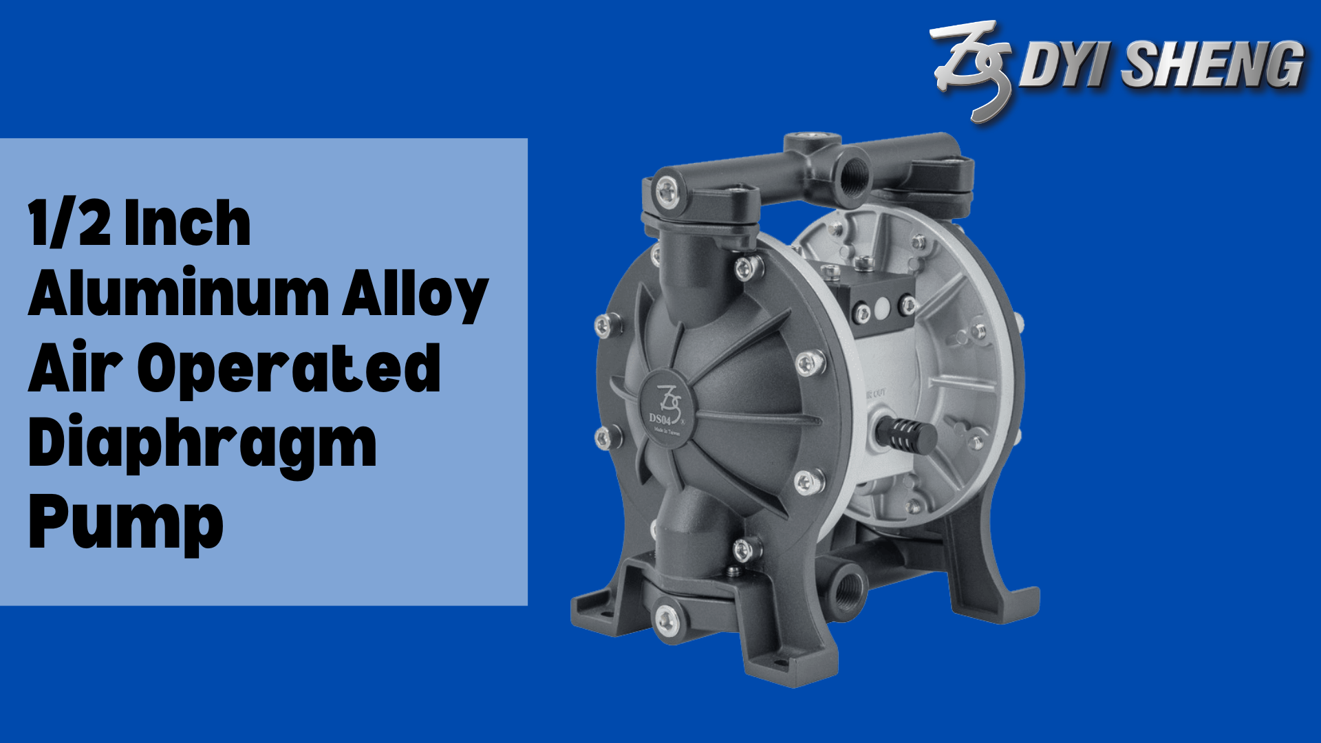 TDS DYI SHENG 1/2 Inch Air-Operated Double Diaphragm Pump inlet
